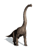 Animations - 071